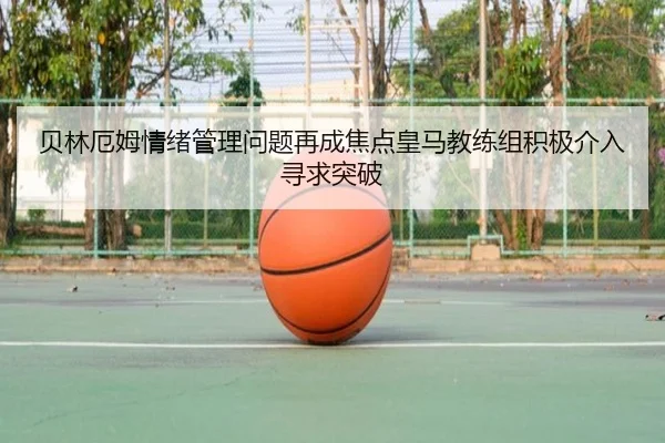 img_1783247394262_235_1_647.jpg
