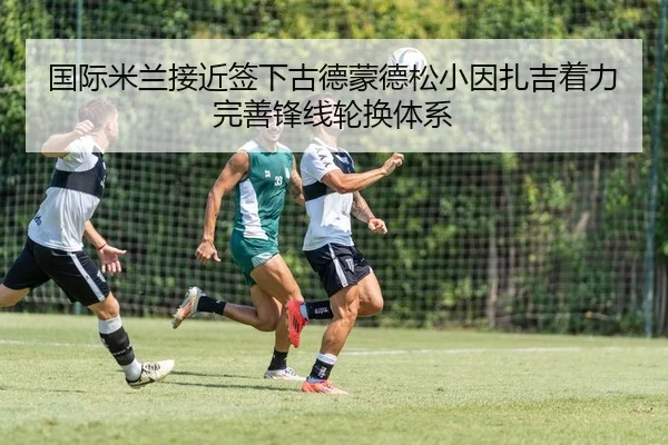 国际米兰接近签下古德蒙德松小因扎吉着力完善锋线轮换体系